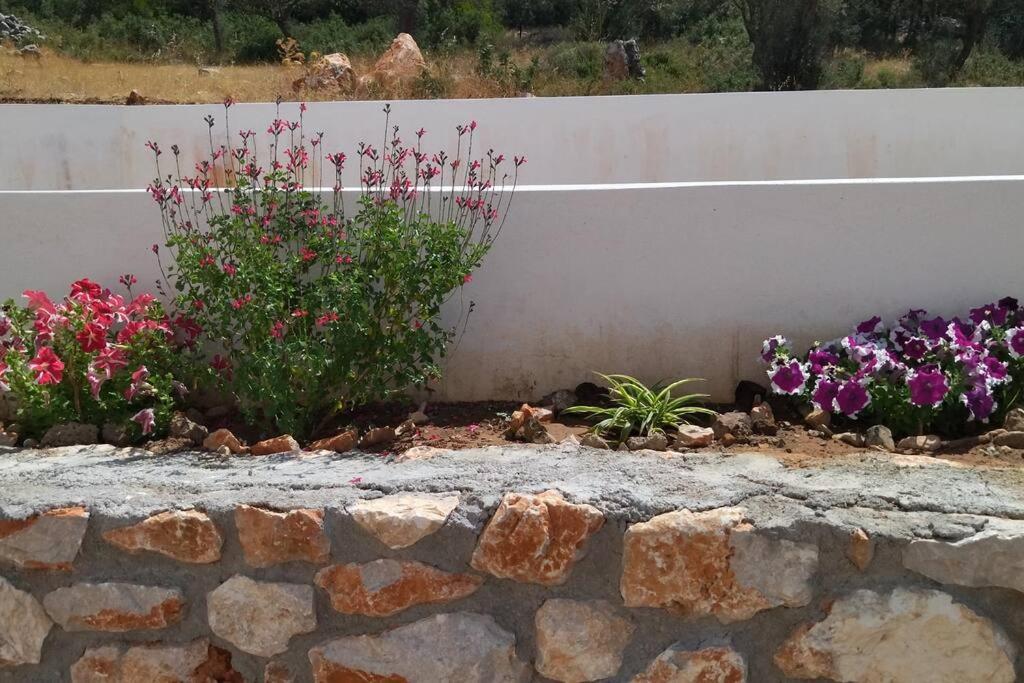 Smailis Apartment 1 Koroni  Eksteriør bilde